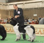 Превью фото № 81666