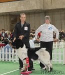 Превью фото № 81684