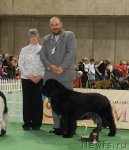 Превью фото № 81692