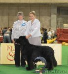 Превью фото № 81701