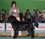 Превью фото № 81849