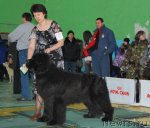 Превью фото № 81854