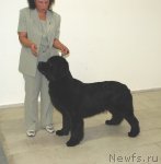 Превью фото № 81870