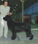 Превью фото № 81873