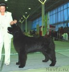 Превью фото № 81894