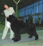 Превью фото № 81903