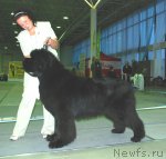 Превью фото № 81904