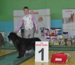 Превью фото № 81913