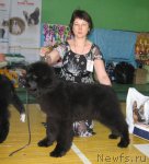 Превью фото № 81973