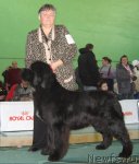 Превью фото № 81977