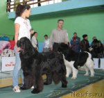 Превью фото № 81990