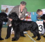 Превью фото № 81995