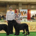 Превью фото № 82131