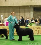 Превью фото № 82156