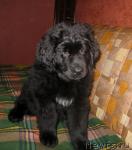 Превью фото № 8237