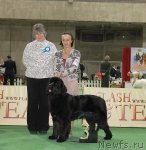 Превью фото № 82384