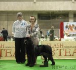 Превью фото № 82385