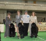 Превью фото № 82411