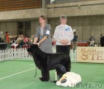 Превью фото № 82416