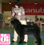 Превью фото № 82478