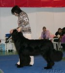 Превью фото № 82482