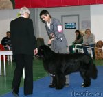 Превью фото № 82483