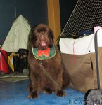 Превью фото № 82526