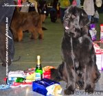 Превью фото № 82631