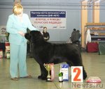 Превью фото № 82656