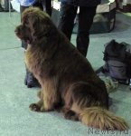 Превью фото № 82666