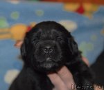 Превью фото № 82691