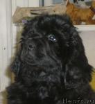 Превью фото № 8280