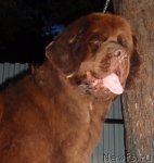 Превью фото № 83055