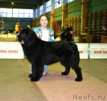 Превью фото № 83076