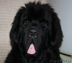 Превью фото № 83169