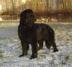 Превью фото № 83171