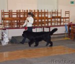 Превью фото № 83495