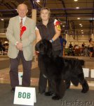 Превью фото № 83677