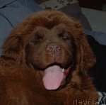 Превью фото № 83690