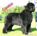 Превью фото № 8377