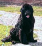 Превью фото № 8384