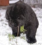 Превью фото № 83853