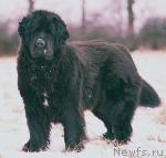 Превью фото № 8390