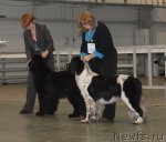 Превью фото № 83939