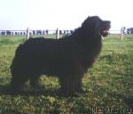 Превью фото № 8399