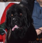 Превью фото № 84093