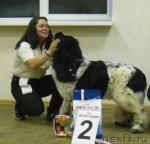 Превью фото № 8455