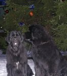 Превью фото № 84607