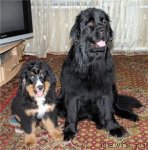 Превью фото № 84673