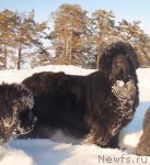 Превью фото № 84793